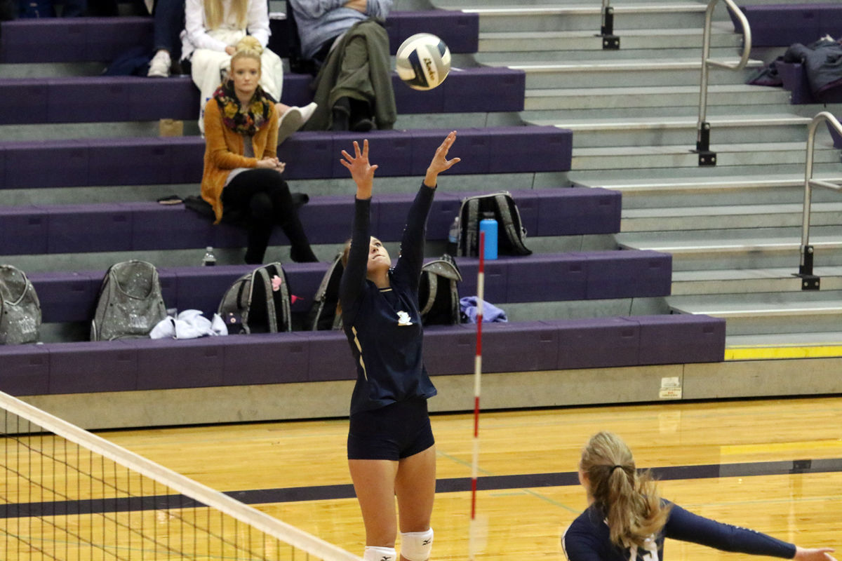 York VB vs Milford (11).jpg